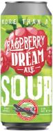 Connecticut Vallley Brewing - Raspberry Dream 0 (44)