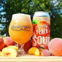 Connecticut Valley Brewing Company - Apricot Ale Sour (4 pack cans) (4 pack cans)