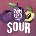 Connecticut Valley Brewing Company - Plum Crazy 0 (44)