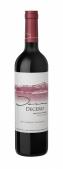 Finca Decero - Cabernet Sauvignon Remolinos Vineyard 2018 (750)