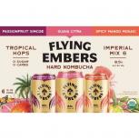Flying Embers - Hard Kombucha Variety Pack 0 (66)