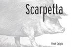 Scarpetta - Pinot Grigio 2021 (750)
